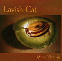 YourDreamCover